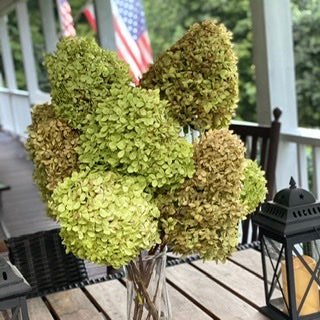 Decorating With Dried Flowers, Pauline Would be Proud