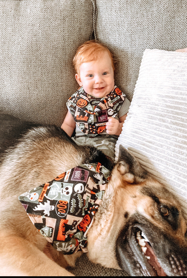 Matching dog bandana best sale