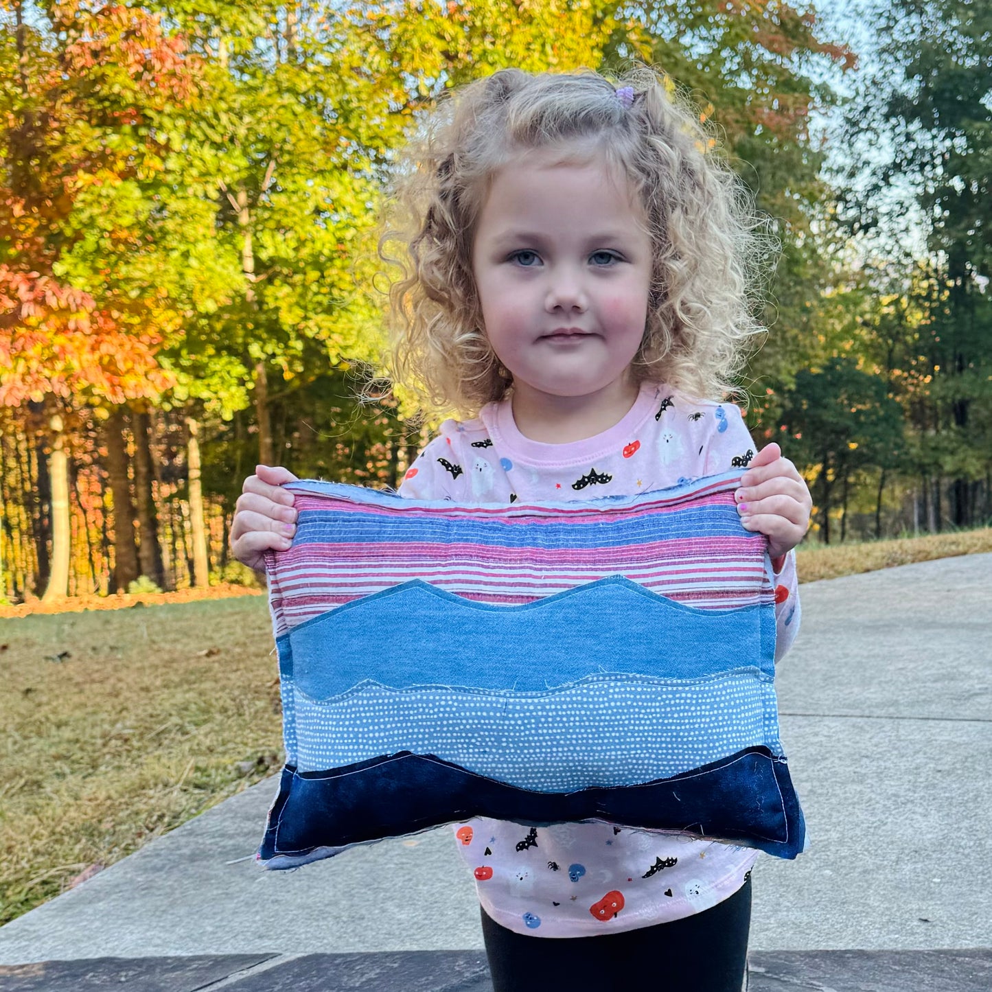 Sunset Blue Ridge Mountain Accent Pillow
