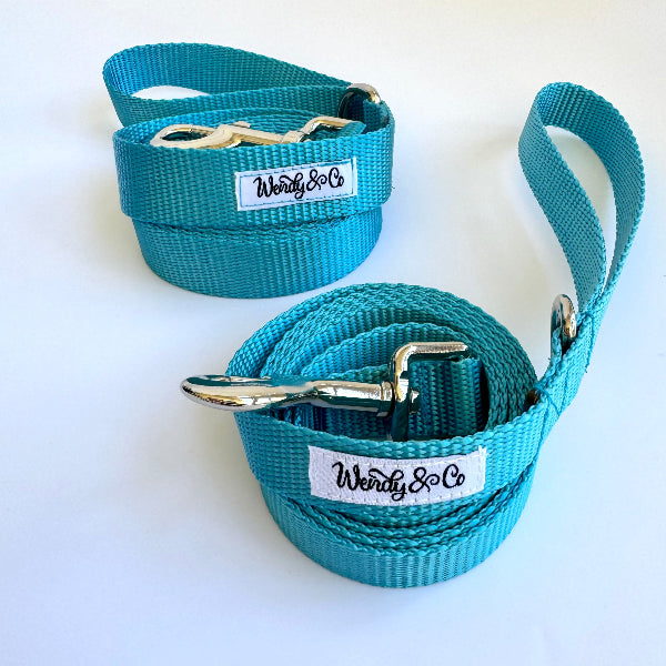 6 foot and 5 foot ice blue leash for dogs.