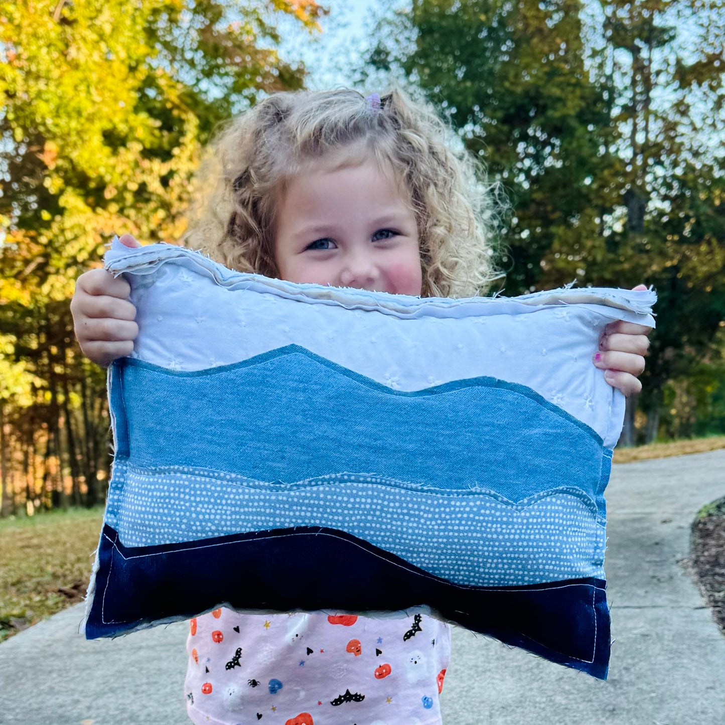Blue Ridge Mountain Accent Pillow