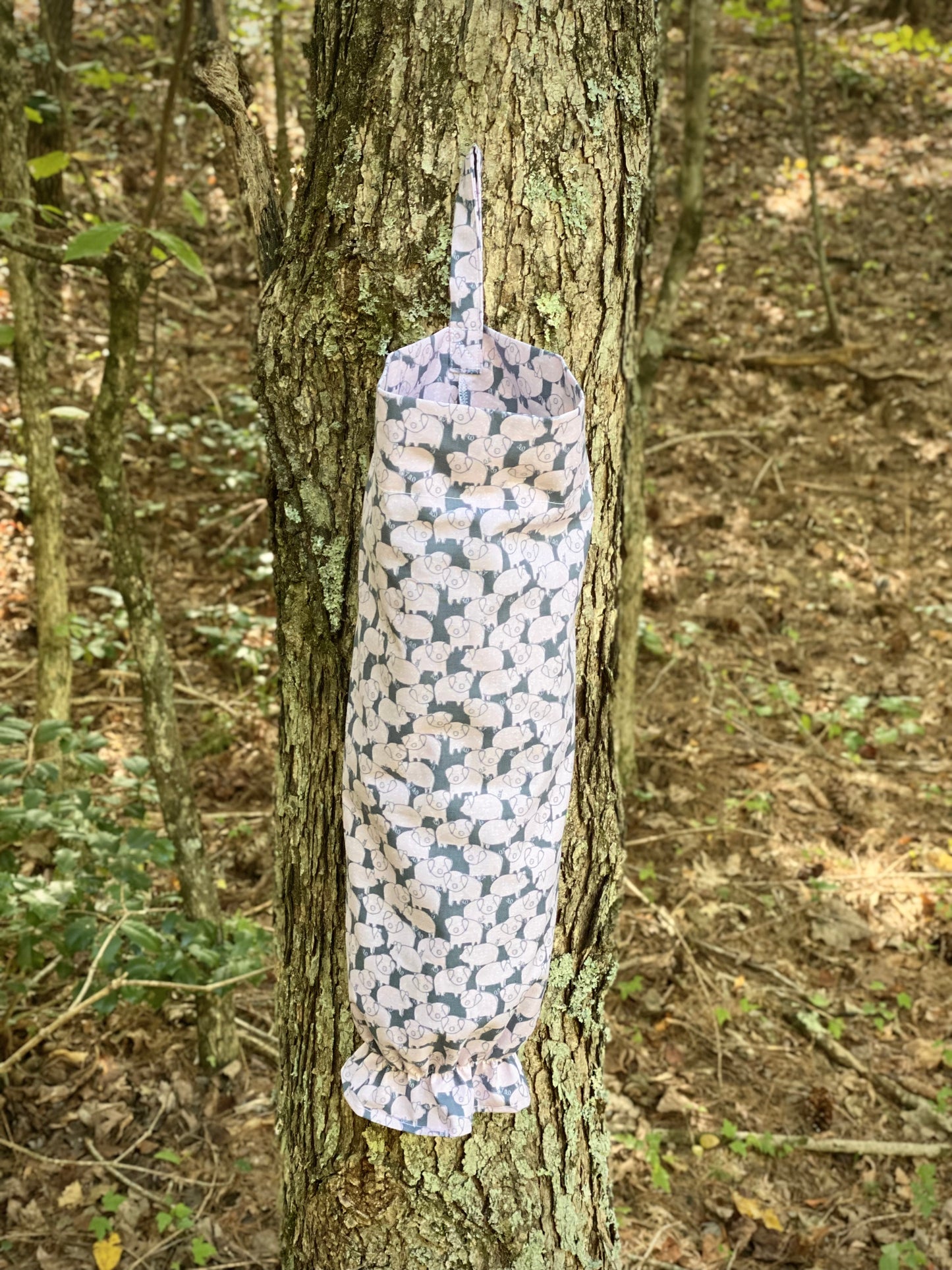 Bag Organizer