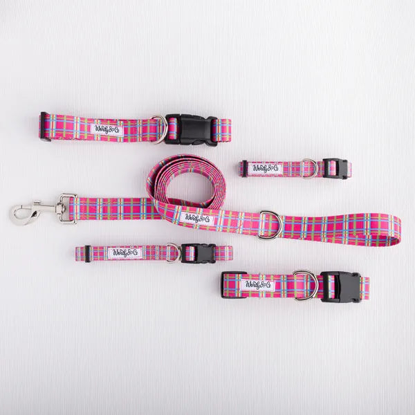 Bubblegum Plaid waterproof dog walking set with collar and leash.