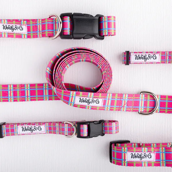 Handmade dog set in bright pink plaid.