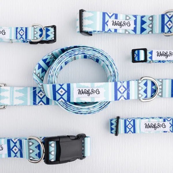 Blue geometric dog leash and collar walking set.