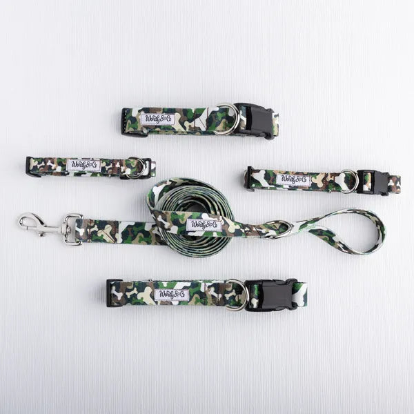 Bone Hunter Leash
