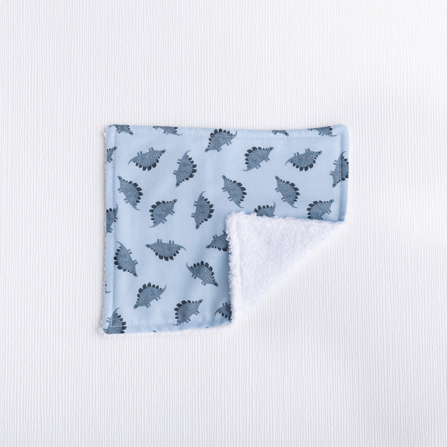 Dinosaur Dreams Washing Cloths