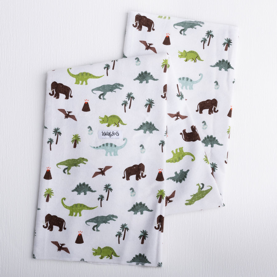 Dinosaur Dreams Receiving Blanket