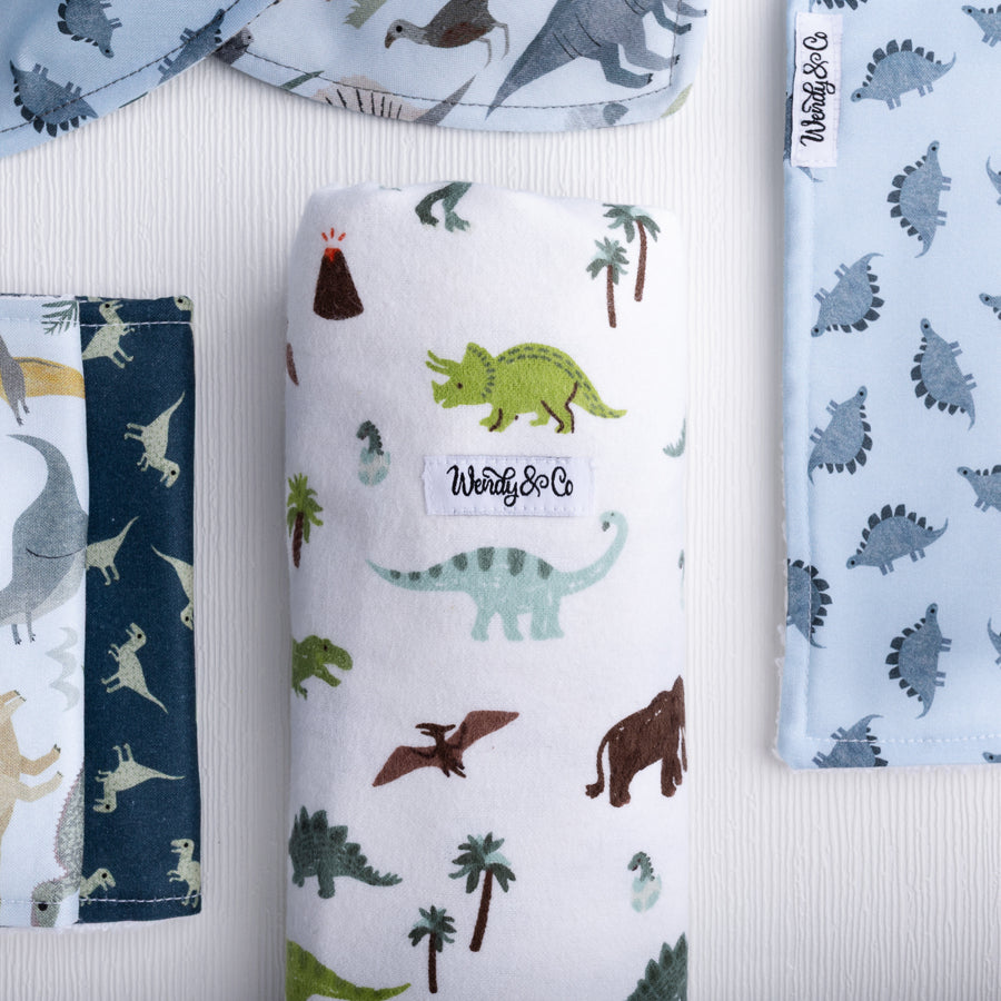 Dinosaur Dreams Receiving Blanket