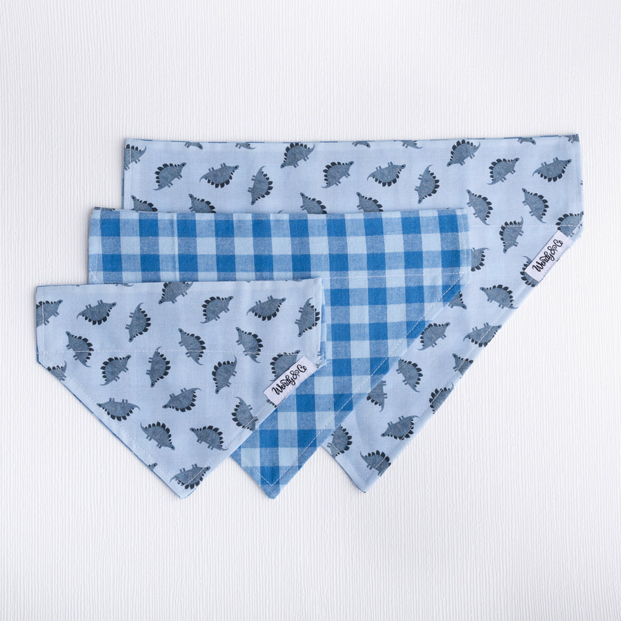 Dinosaur Dreams Dog Bandana