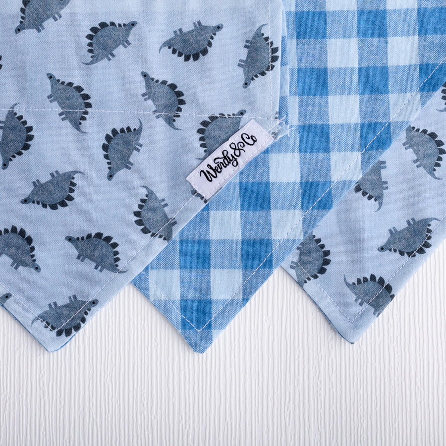 Dinosaur Dreams Dog Bandana