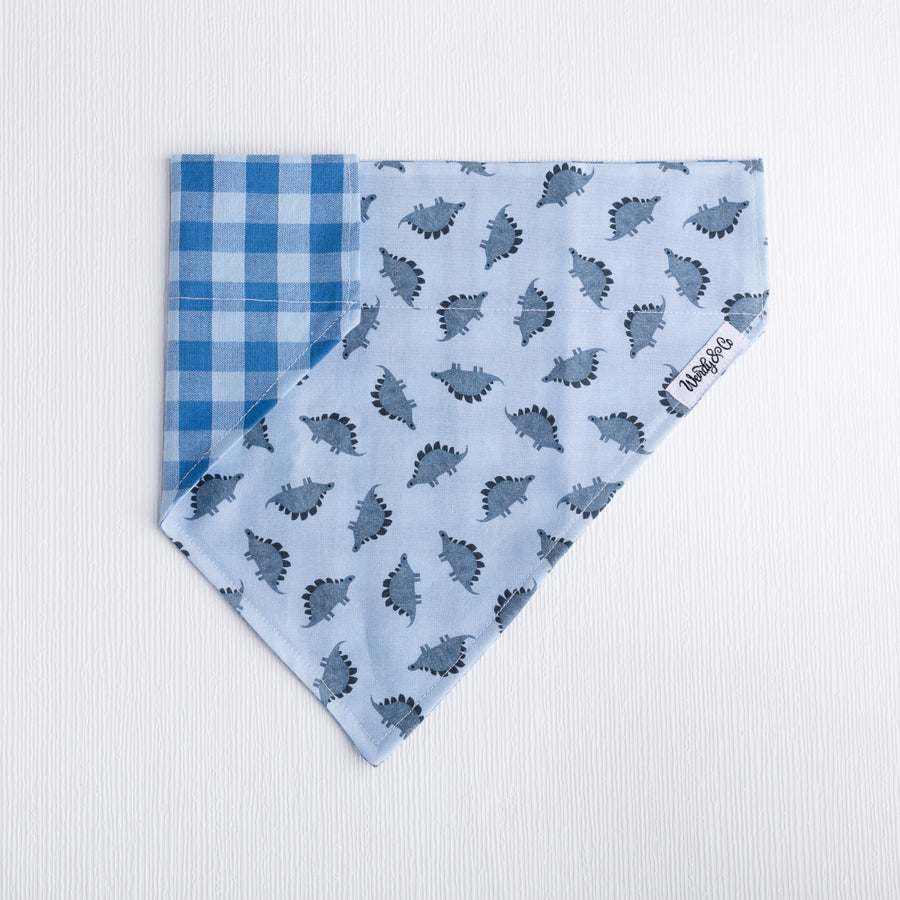 Dinosaur Dreams Dog Bandana