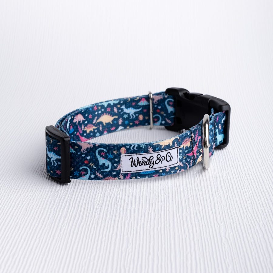 Dinosaur Dreams Dog Collar