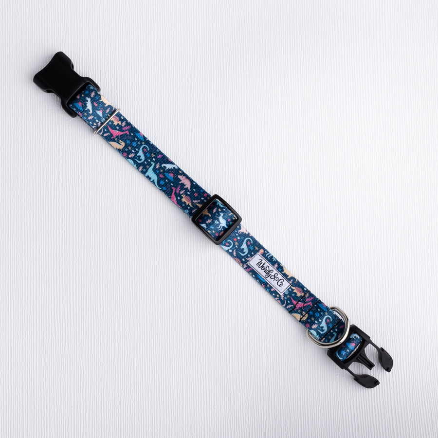 Dinosaur Dreams Dog Collar