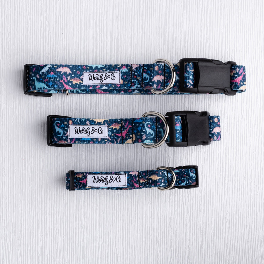 Dinosaur Dreams Dog Collar