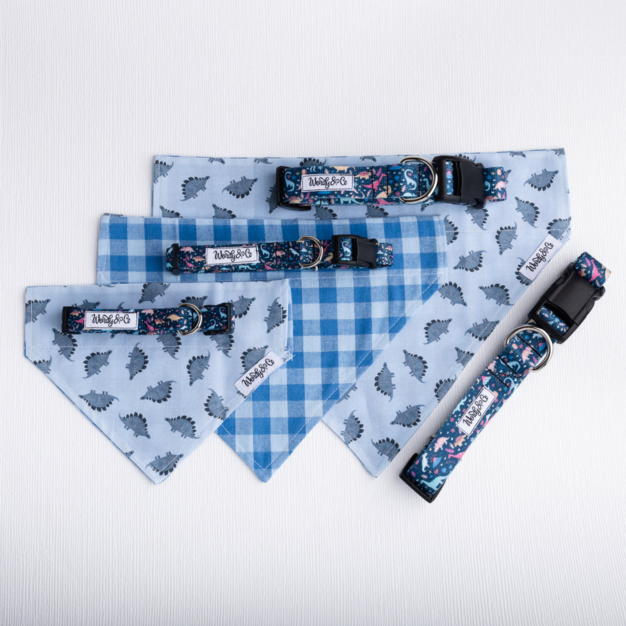 Dinosaur Dreams Dog Bandana
