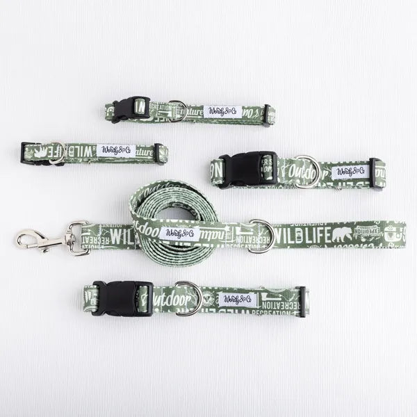 Forest Adventure Collar