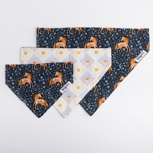 sunset dog bandana over the collar