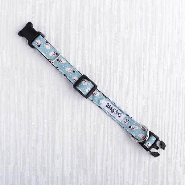 Frosty in Sky Blue Collar