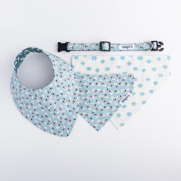 Frosty in Sky Blue Baby Bib