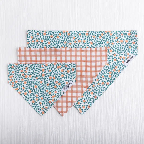 Orchard Days Dog Bandana
