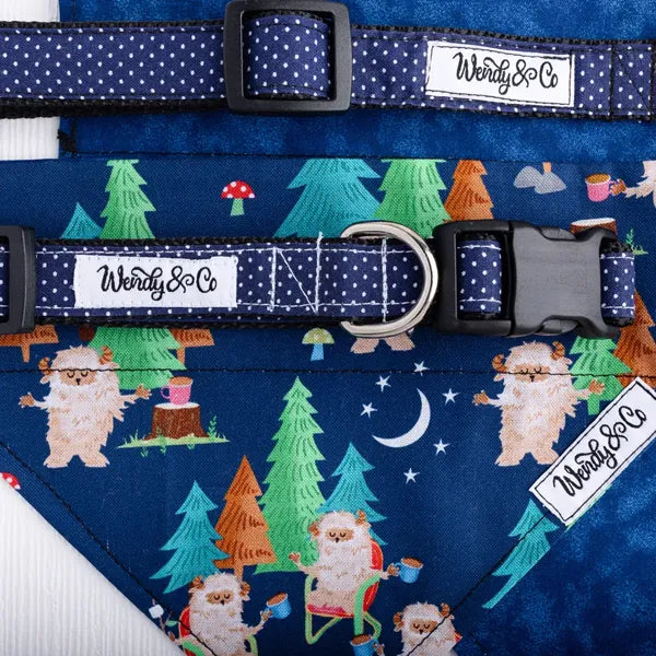 Navy dot collar with sasquatch bandana.