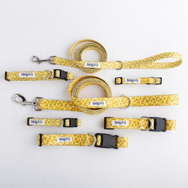 Waterproof dog walking set with delicate yellow flower print.