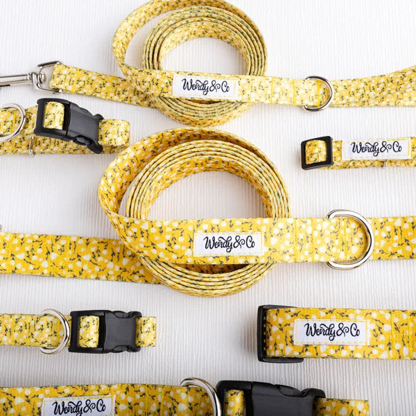 Yellow floral dog set with leash and collars.