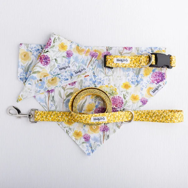 Flat lay of Buttercup dog set.