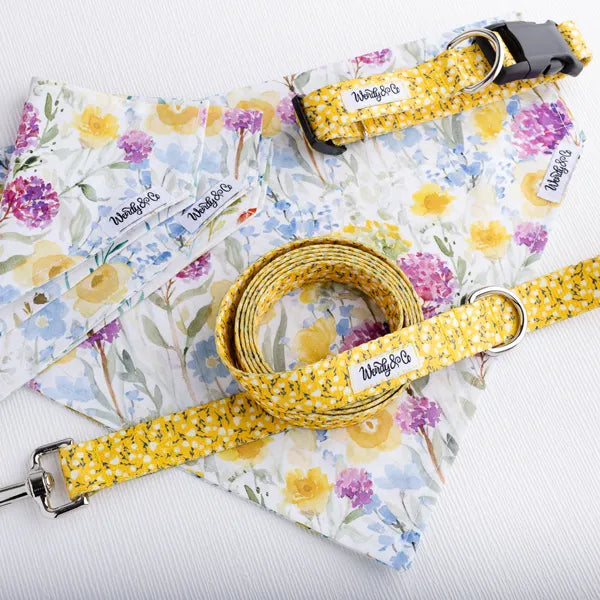Spring floral dog walking set with collar, leash and bandana.