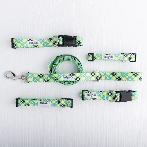 Waterproof dog collection in green and blue argyle print.