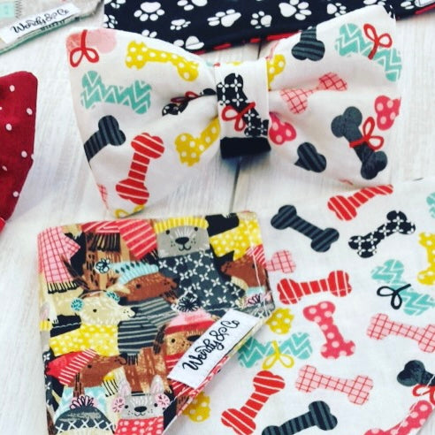 Bright fun bones in pet bow tie and bandana.