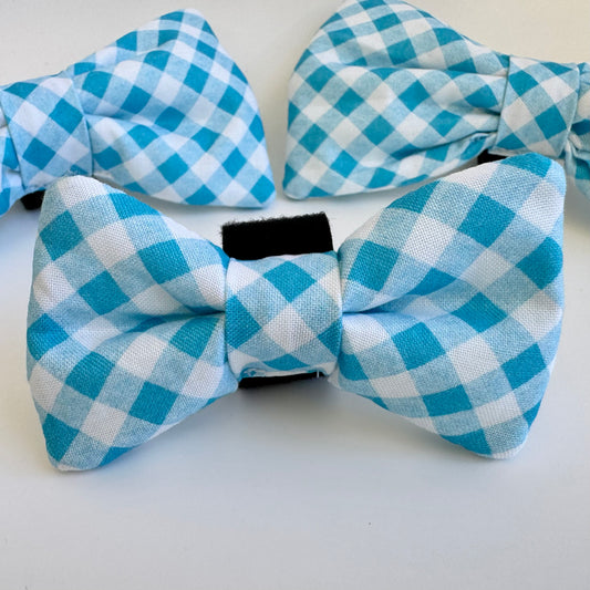 Blue plaid bow tie for dogs.