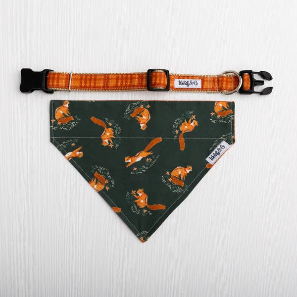 A dog collar and matching triangular bandana set from Magalo's. The collar is orange and brown plaid with black hardware, and the bandana is dark green with an orange squirrel print.