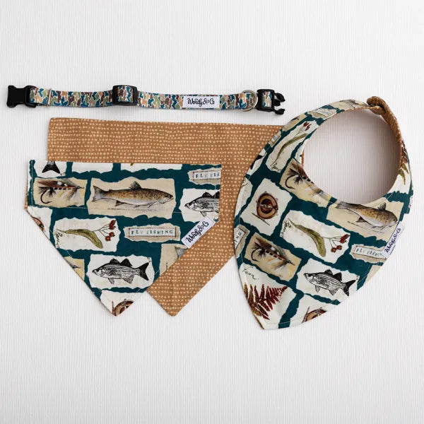 A dog gear set laid flat on a white textured background, including a patterned collar and two triangular bandanas with a trout  print.