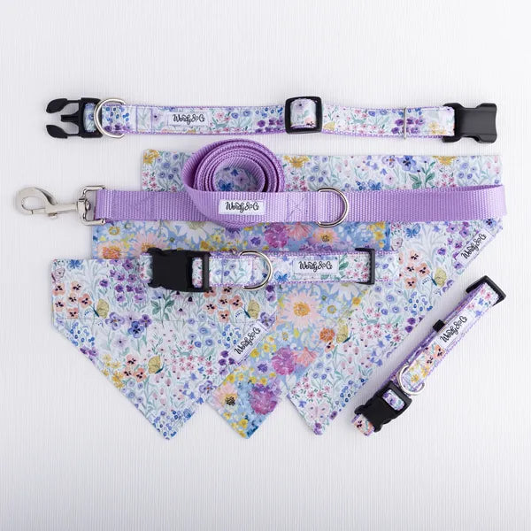 Handmade dog collar in Butterfly Garden floral print – lilac and spring tones.