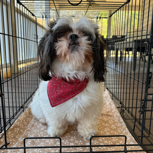 Fluffy dog in a crate with a waterproof crate liner.