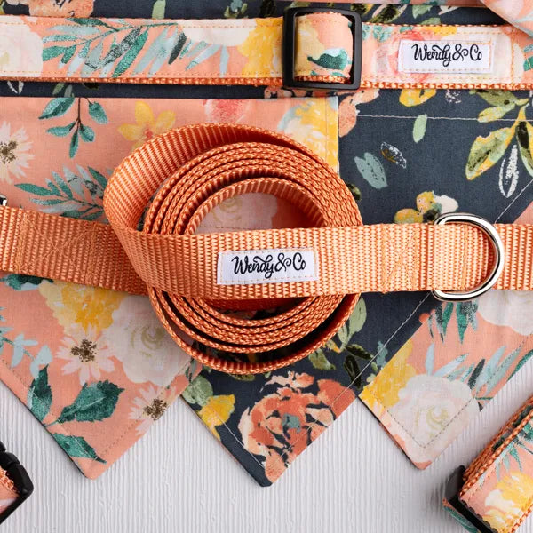 Peach Dog Leash