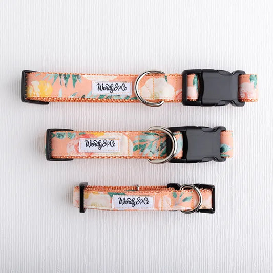 Cottage Bloom Dog Collar