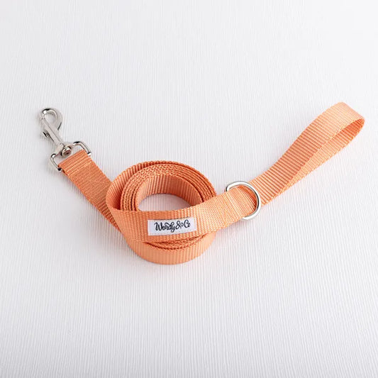 Peach Dog Leash