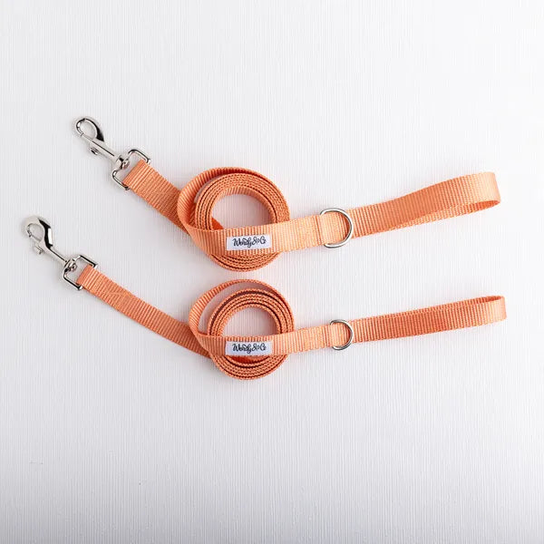 Peach Dog Leash