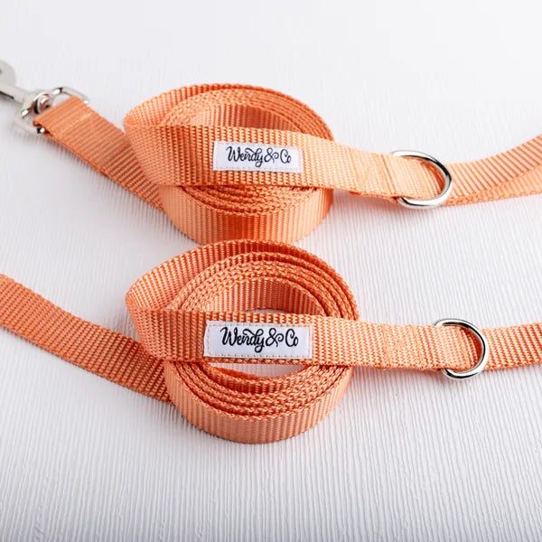 Peach Dog Leash