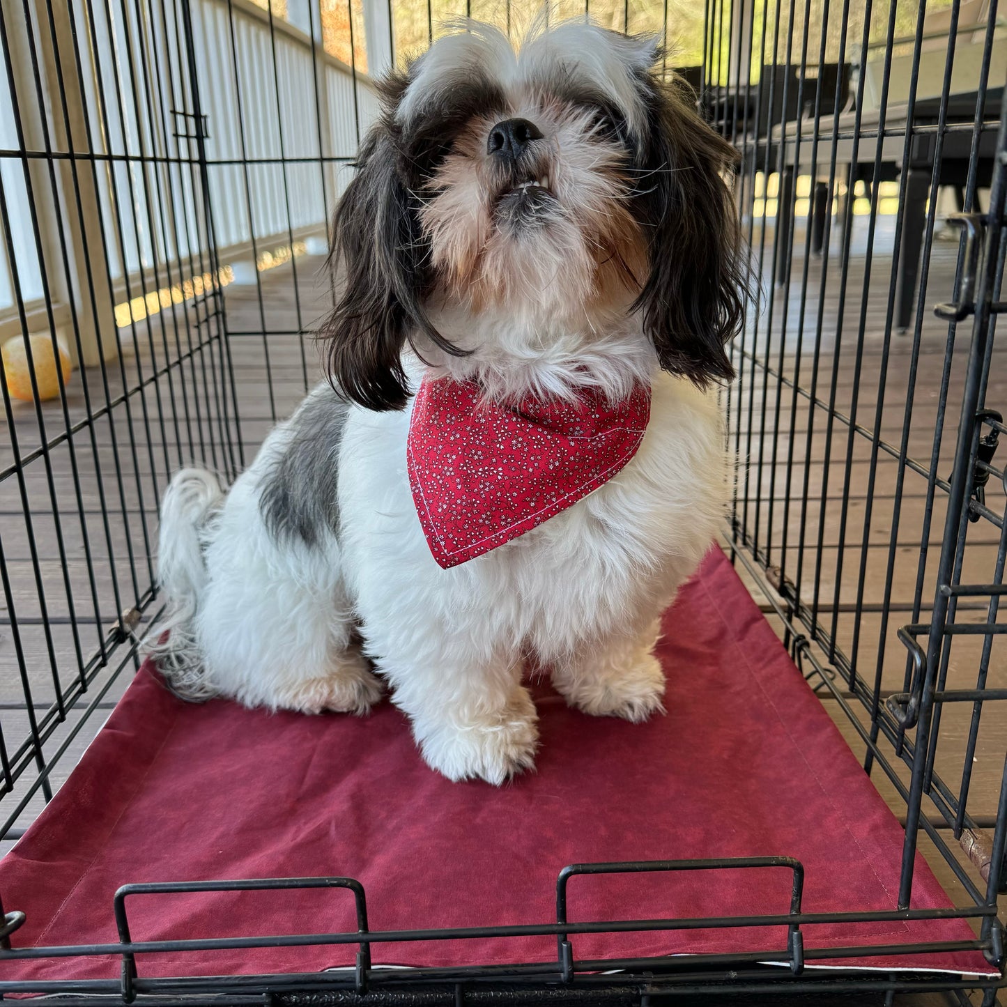Shih Tzu dog with maroon bandana sitting on a maroon waterproof pet pad.