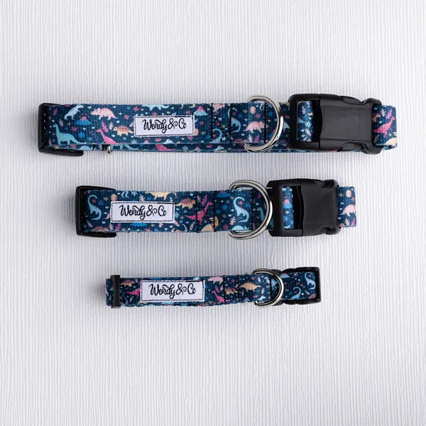 Waterproof dog collar in blue with dinosaurs. 