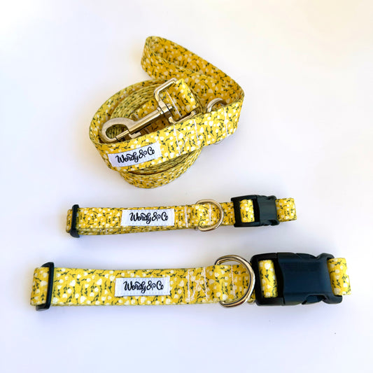 Sunny buttercup floral leash and collars.