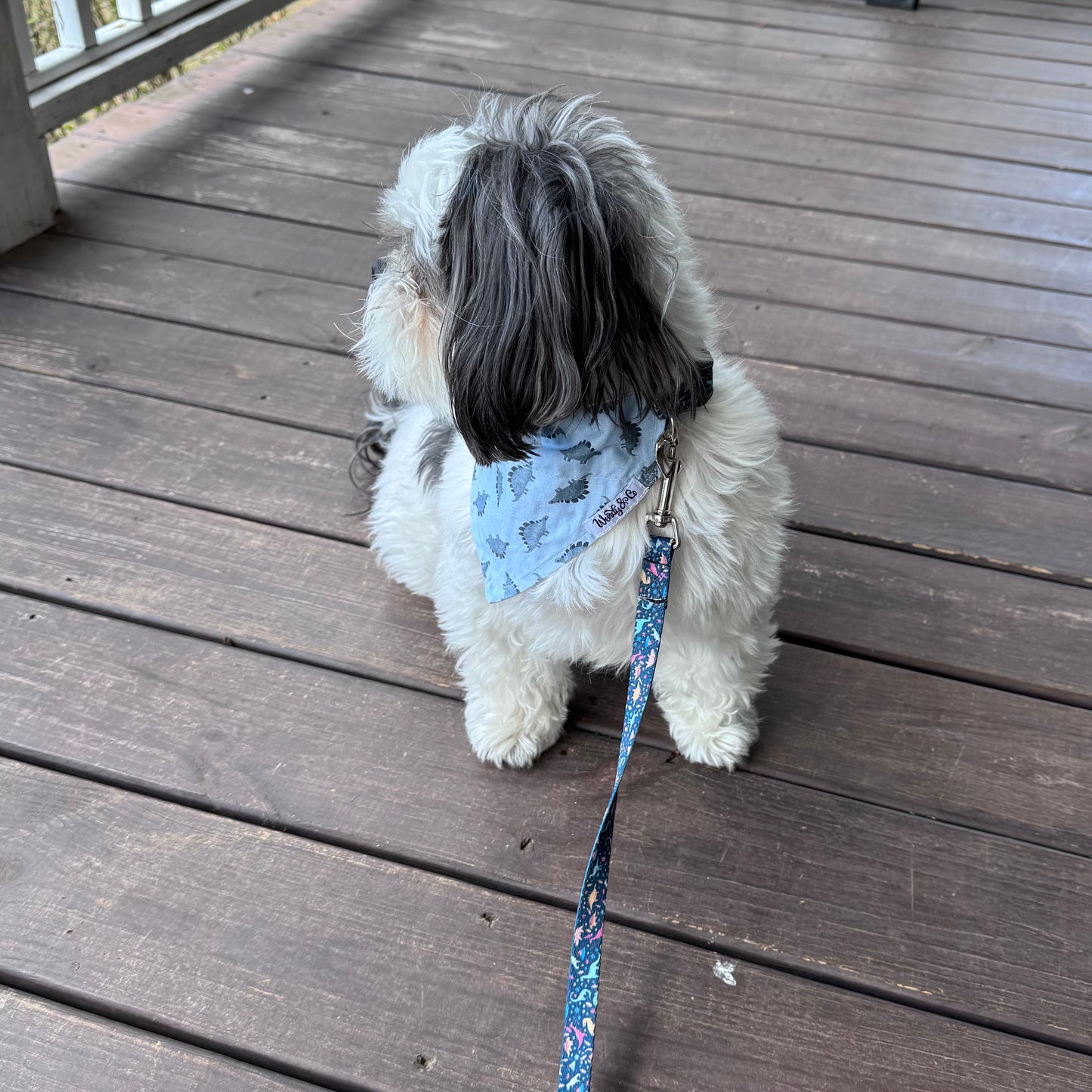 Dinosaur Dreams Dog Bandana