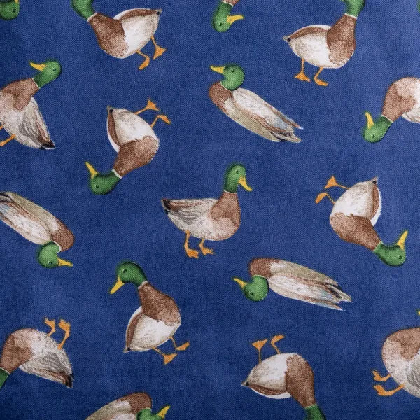 Mallard 
