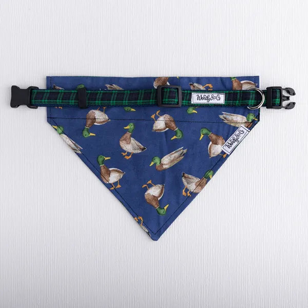 plaid mallard dog collar and bandana
