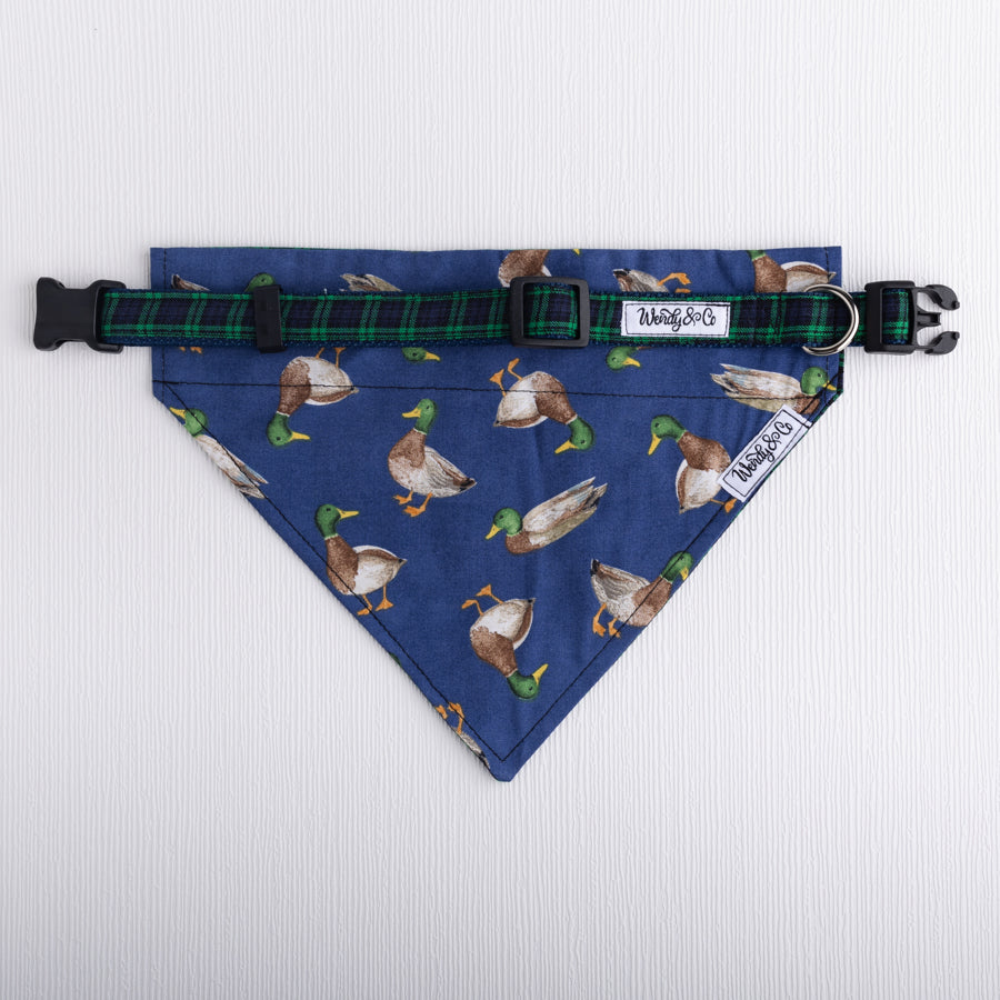 Mallard print bandana with plaid collar.