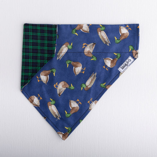 Mallard and check dog bandana.